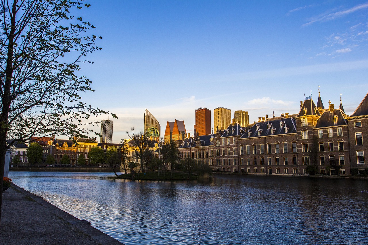Bewindvoerder aanvragen den haag